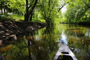 The Bronx gets its name from the only fresh-water River that flows through New York City (named after early settler, Jonas Bronck). The land has a beauty and unique topography, from the ridges and valleys of the West Bronx to the marshes of the East... The forests and open spaces were an early draw to the "Great North-side." 24% of the Bronx's 40 square miles are park-land, preserved for the enjoyment of the masses in great progressive fashion.