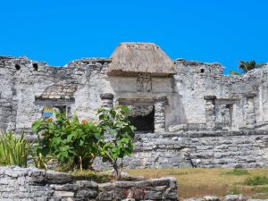 Cozumel-109