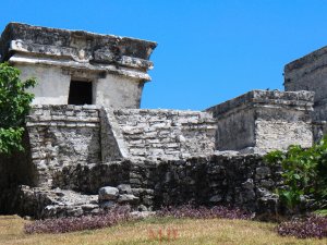 Cozumel-84