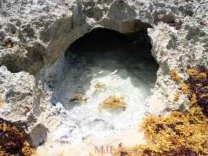 Cozumel-289