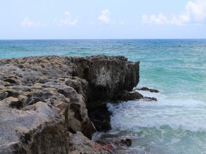 Cozumel-295