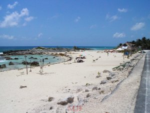 Cozumel-302