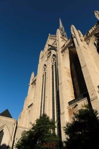 The great Carnegie Cathedral of Learning 