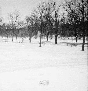 IMG_20150127_0016-Edit