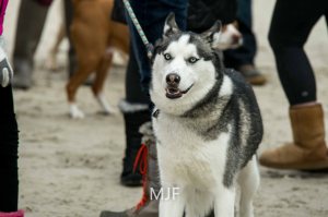 IMG_0097