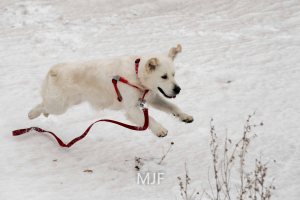 IMG_0195