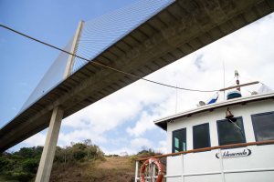 Under the Bridge of the Americas