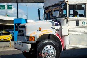 I'm a sucker for chicken busses