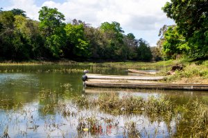 IMG_6077 - Copy - Copy - Copy