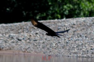 IMG_6120 - Copy - Copy - Copy