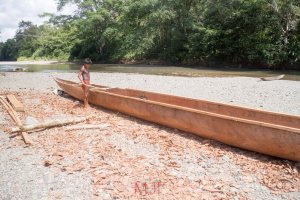 IMG_8321 - Copy - Copy - Copy