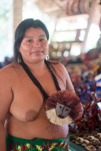 The Embera survive through tourism and arts and crafts.