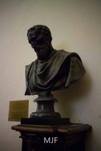 IMG_9390 - Copy - Copy