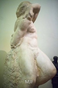 IMG_9392 - Copy - Copy