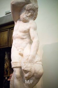 IMG_9395 - Copy - Copy