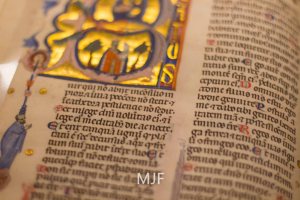 IMG_9435 - Copy - Copy