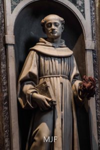 IMG_9551 - Copy - Copy