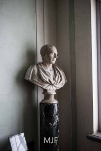 IMG_9651 - Copy - Copy - Copy