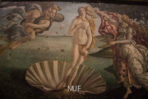 IMG_9680 - Copy - Copy