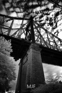 IMG_0501 -1-Edit - Copy