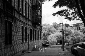 IMG_9071 -1-Edit-Edit