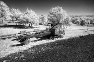 IMG_9569 -1-Edit-Edit