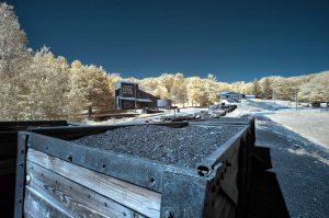 IMG_9570 -1-Edit-Edit