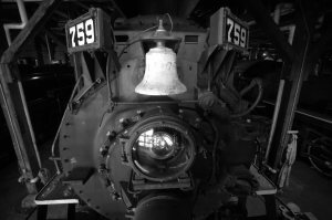 IMG_9587 -1-Edit-Edit