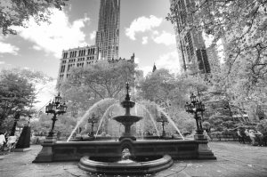 IMG_9746 -1-Edit-Edit-Edit